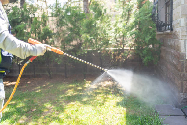 Best Wildlife Control Services  in Due West, SC