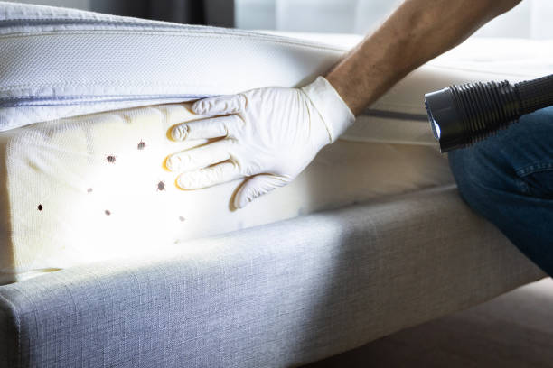 Best Residential Pest Control  in Due West, SC