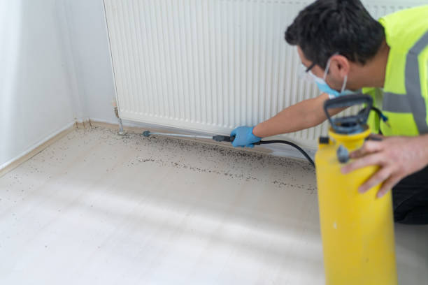 Professional Pest Control in Due West, SC