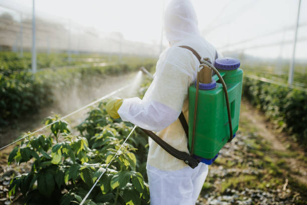 Best Pest Removal Services  in Due West, SC